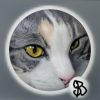 Custom Pet Portraits by Sharon