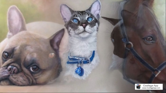 Custom Pet Portraits by Sharon