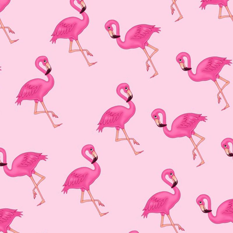 Pink Flamingos Design Gift Wrap
