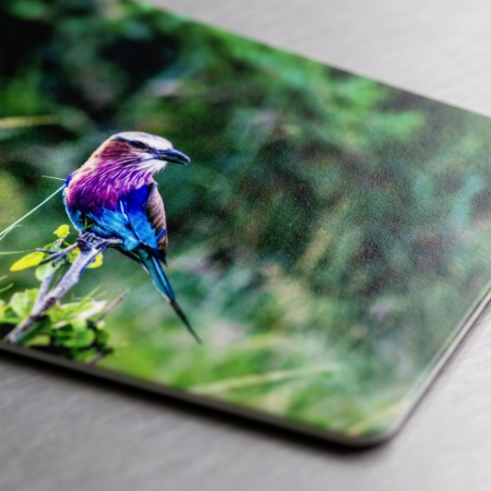 African bird Flexible Fridge Magnet, 3x2 inches
