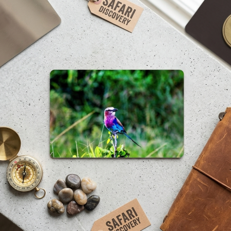 African bird Flexible Fridge Magnet, 3x2 inches