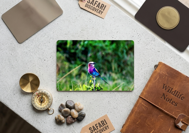 African bird Flexible Fridge Magnet, 3x2 inches