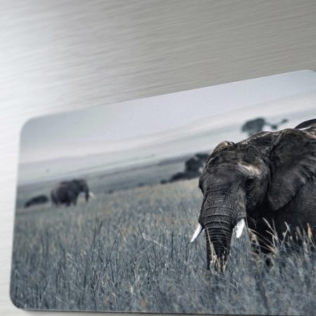 Flexible Elephant Fridge Magnet, 3x2 Inches