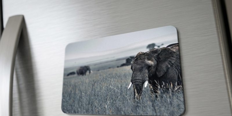 Handmade Flexible Elephant Fridge Magnet, 3x2 Inches