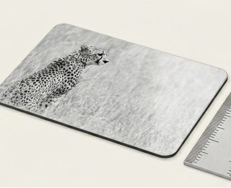 Black and White Cheetah Portrait Fridge Magnet, 3x2 inches