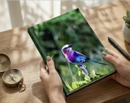 African Bird A5 Lined Notebook with Colourful Cover