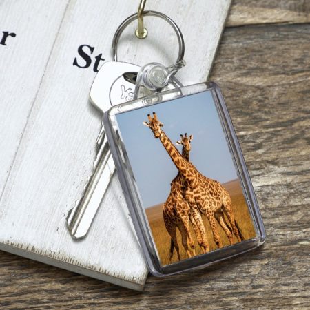 Acrylic Giraffe Keyring, 50 x 35mm, Double Sided