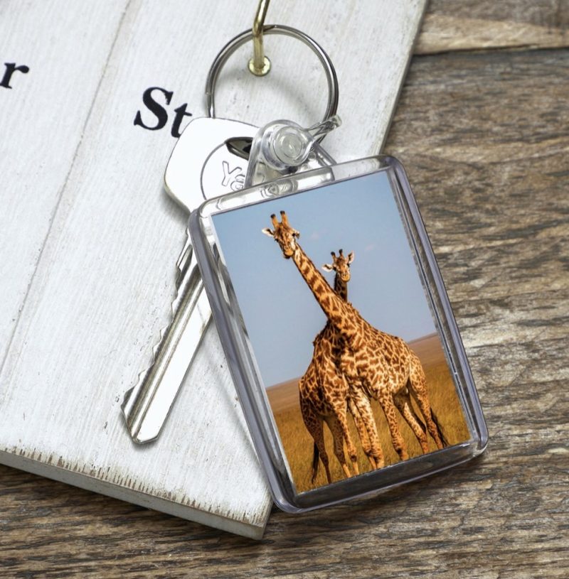 Acrylic Giraffe Keyring, 50 x 35mm, Double Sided