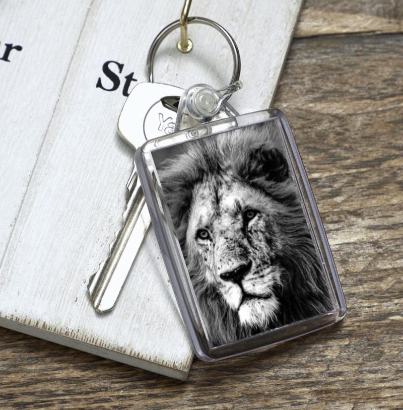 Black and White Lion Photo Acrylic keyring 50x35mm, double sided