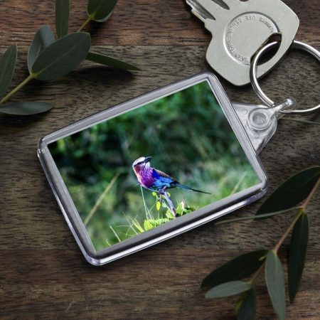 Double-Sided Acrylic Keyring with Colourful African Bird Photo, 50x35mm