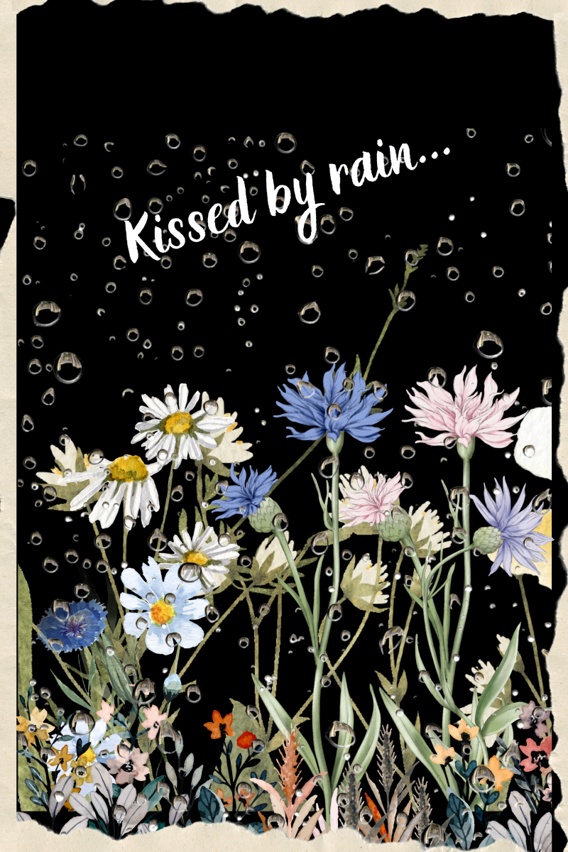 Wall Art - Wild Flowers with Quotes - Digital Download