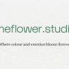 The Flower Studio