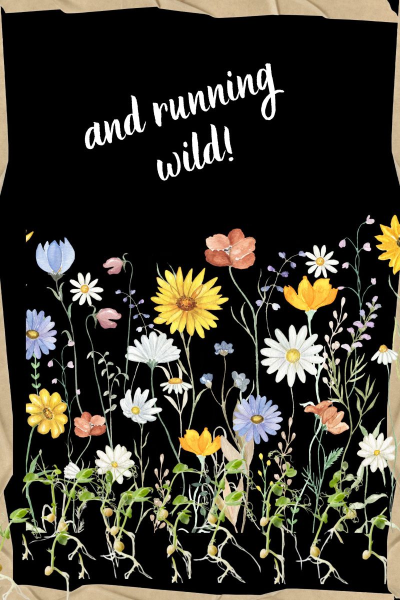 Wall Art - Wild Flowers with Quotes - Digital Download