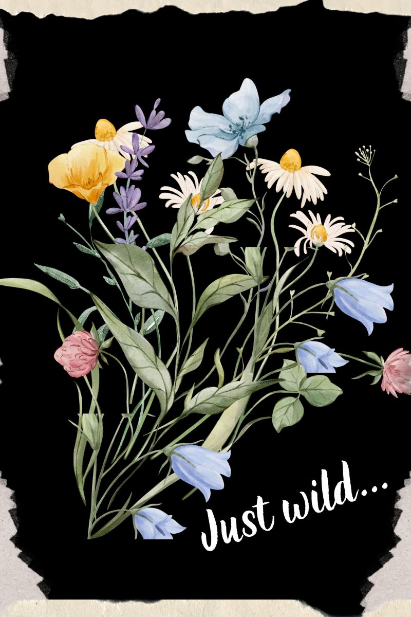 Wall Art- Wild Flowers with Quotes