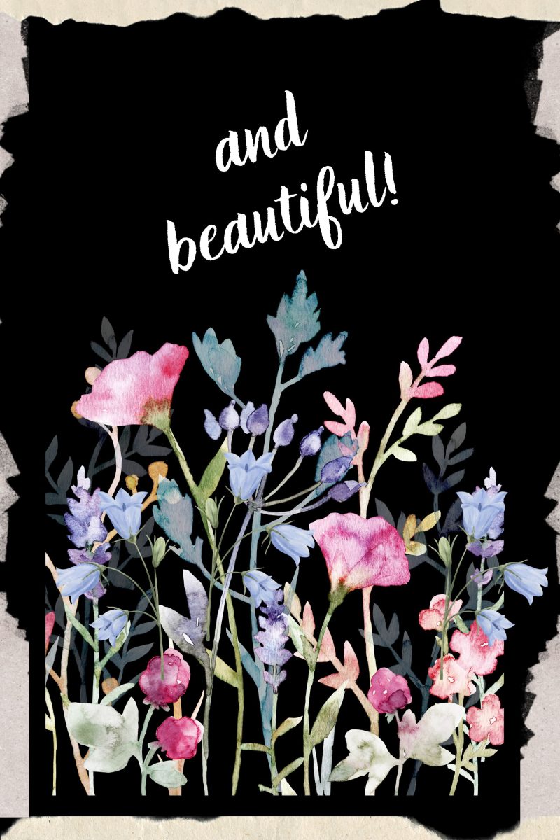 Wall Art- Wild Flowers with Quotes