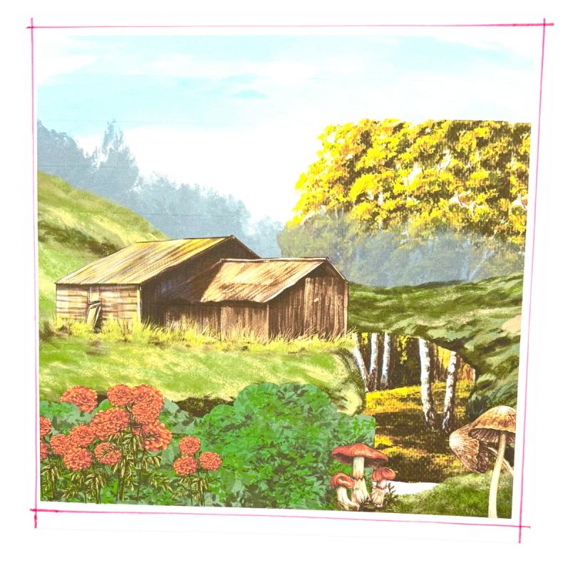 Border view 8 x 8 multi-coloured birthday or any occasion handmade greeting card