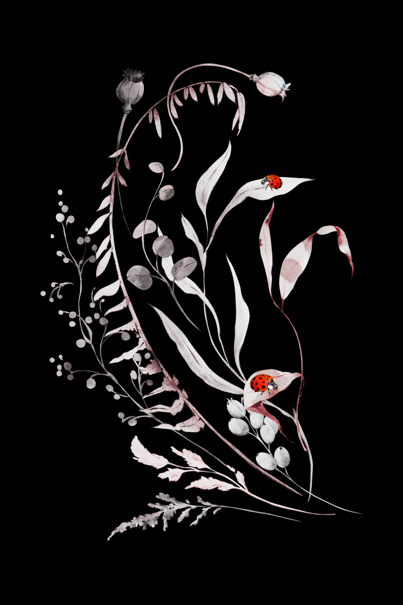 Wall Art - The Ladybirds