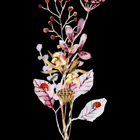 Wall Art - The Ladybirds