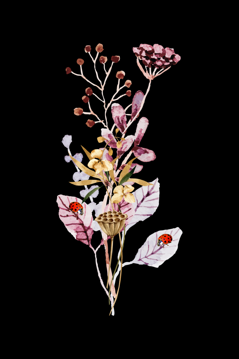 Wall Art - The Ladybirds