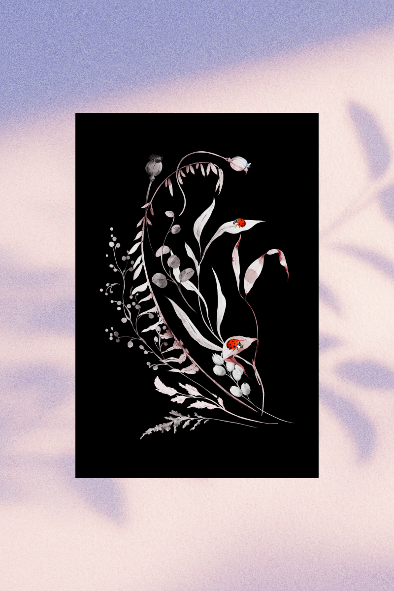 Wall Art - The Ladybirds