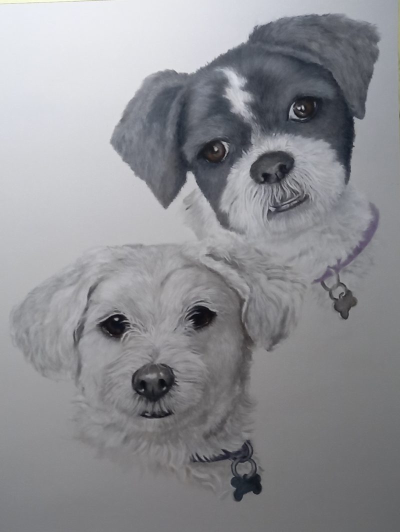 Custom Pastel Pet Portraits