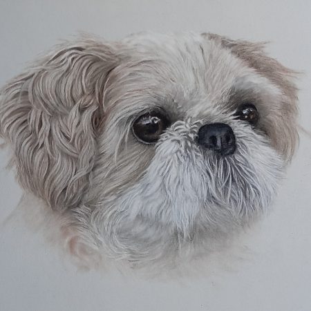 Custom Pastel Pet Portraits