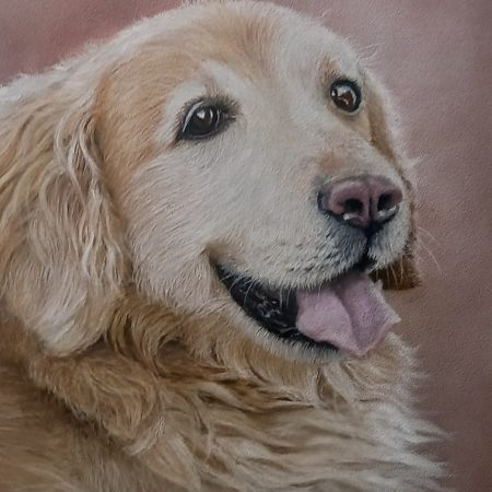 Custom Pastel Pet Portraits
