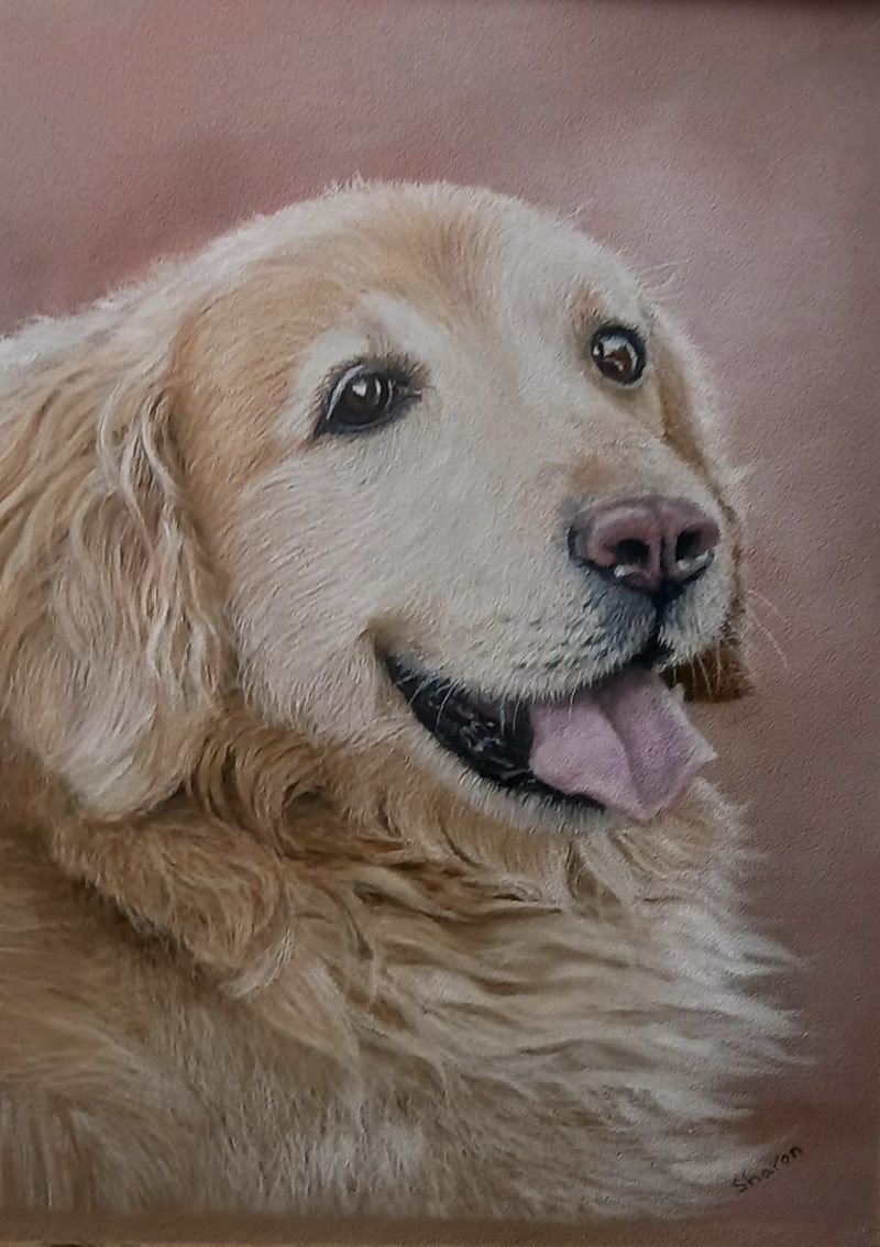 Custom Pastel Pet Portraits