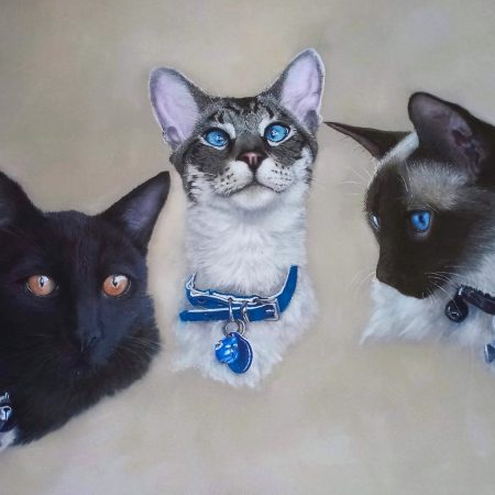 Custom Pastel Pet Portraits