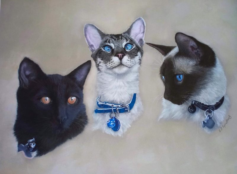 Custom Pastel Pet Portraits