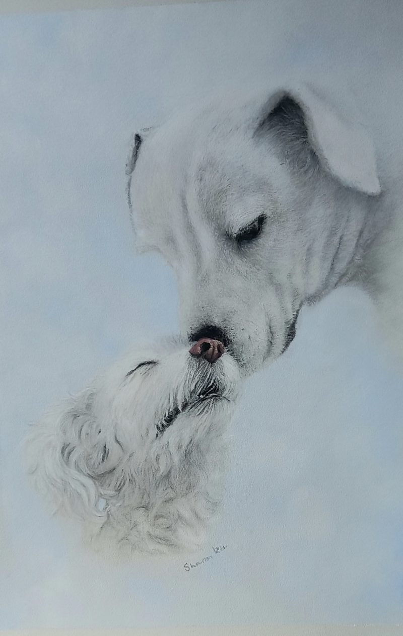 Custom Pastel Pet Portraits