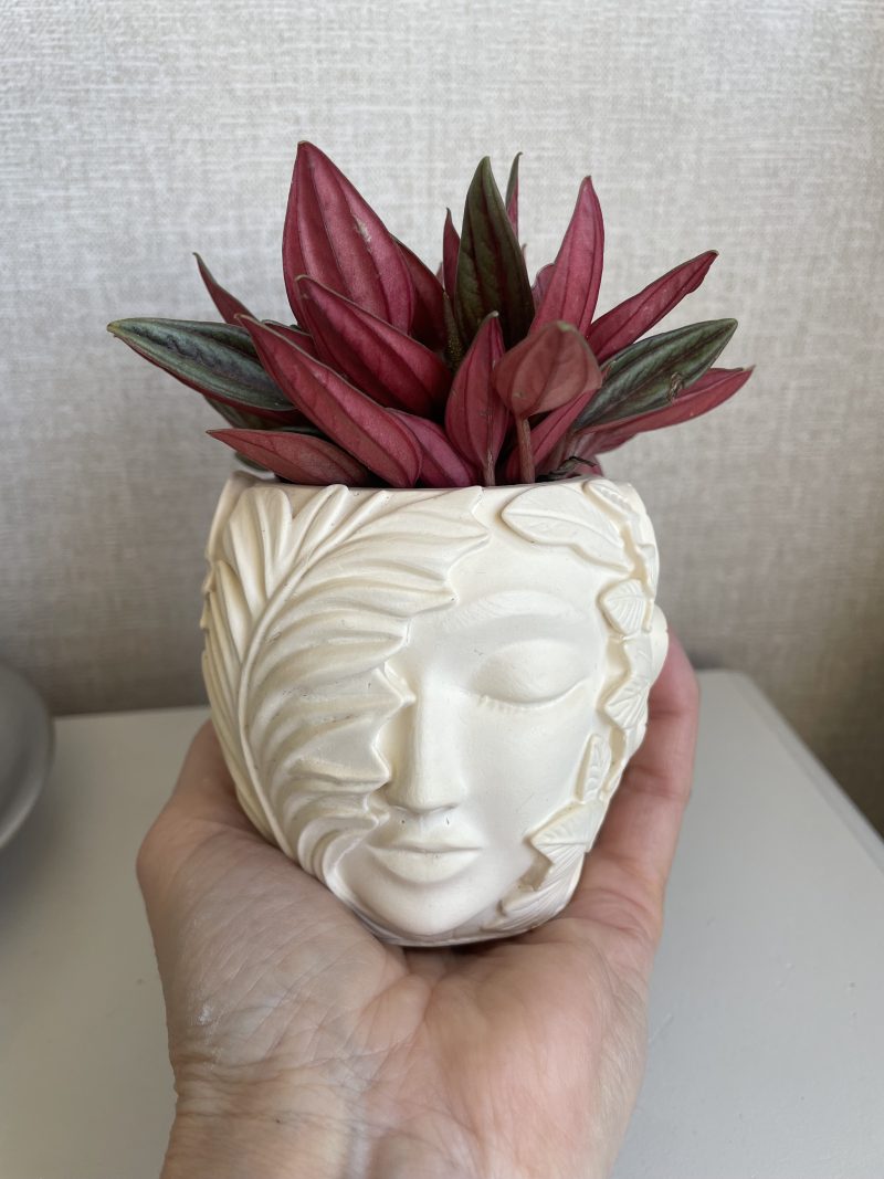 Eco-resin small head design pot for plants or home decor, white or natural