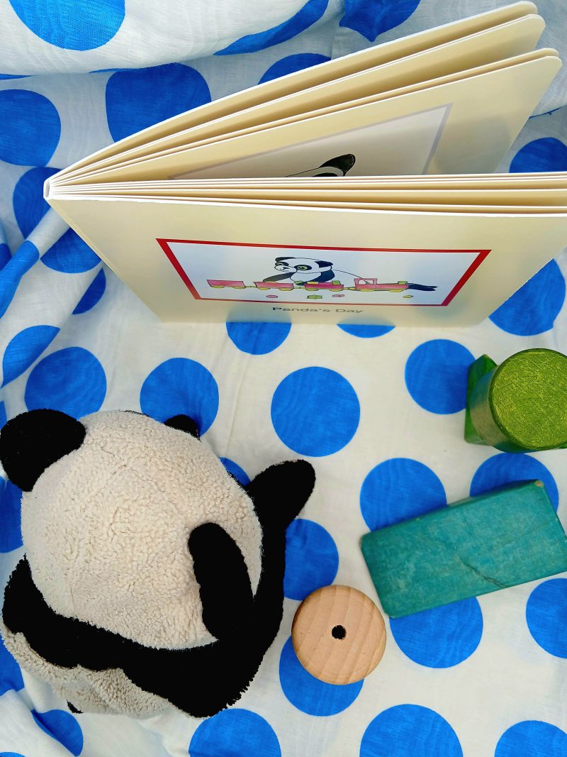 Panda's Day small children's board book self published