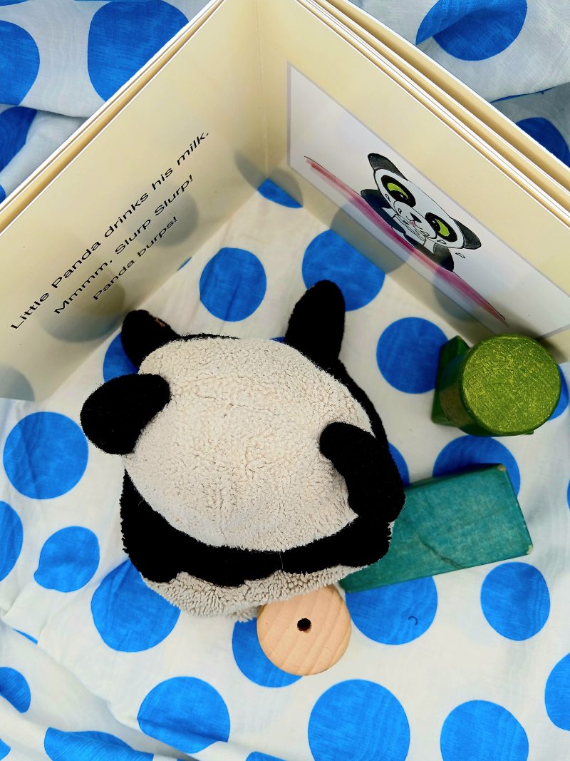 Panda's Day small children's board book self published