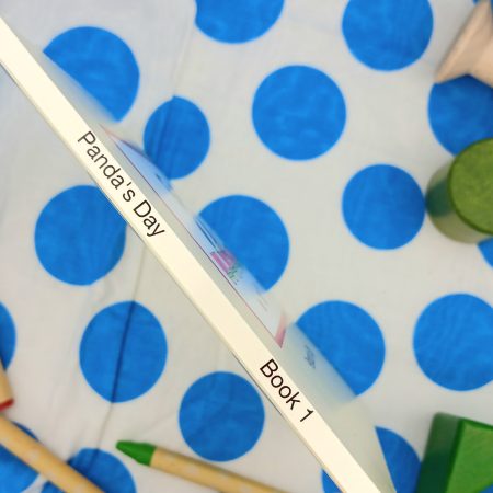 Panda's Day small children's board book self published