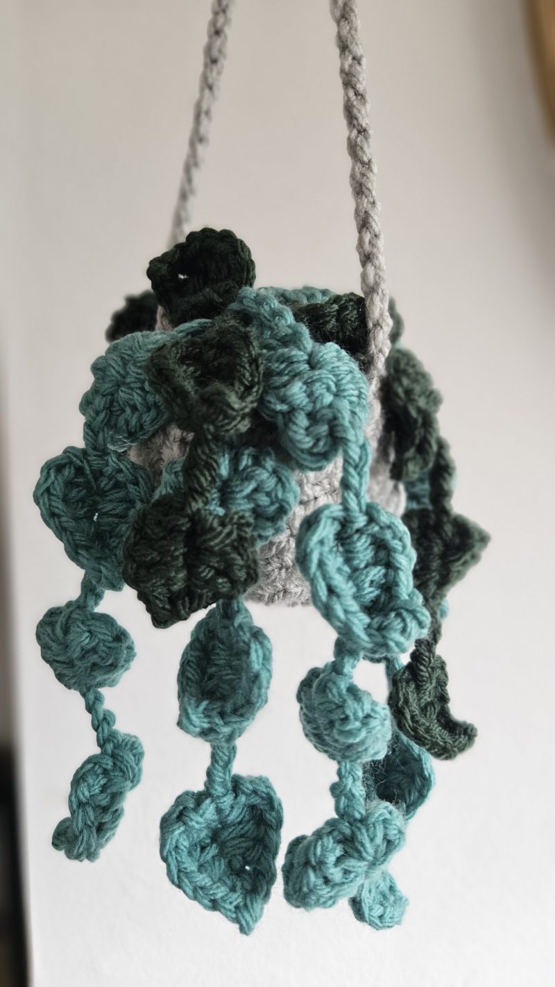 Hanging crochet plant
