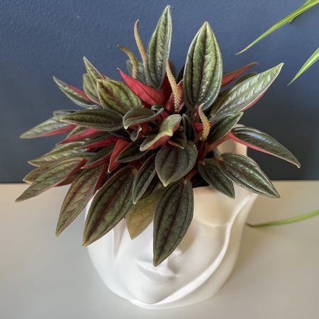 Eco-resin small pots for plants or home decor