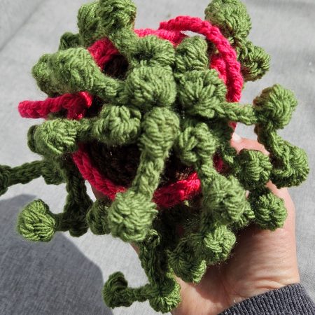 Hanging crochet plant