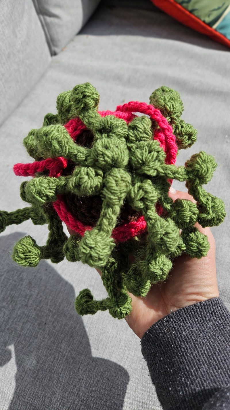 Hanging crochet plant