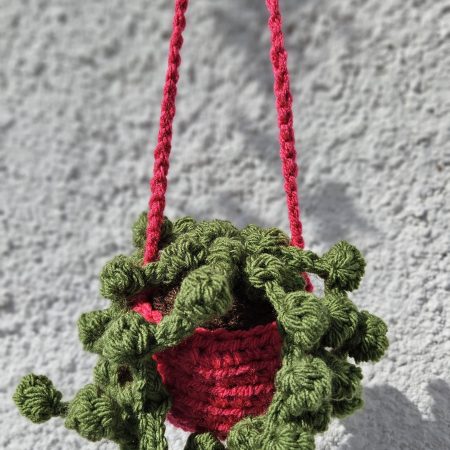 Hanging crochet plant
