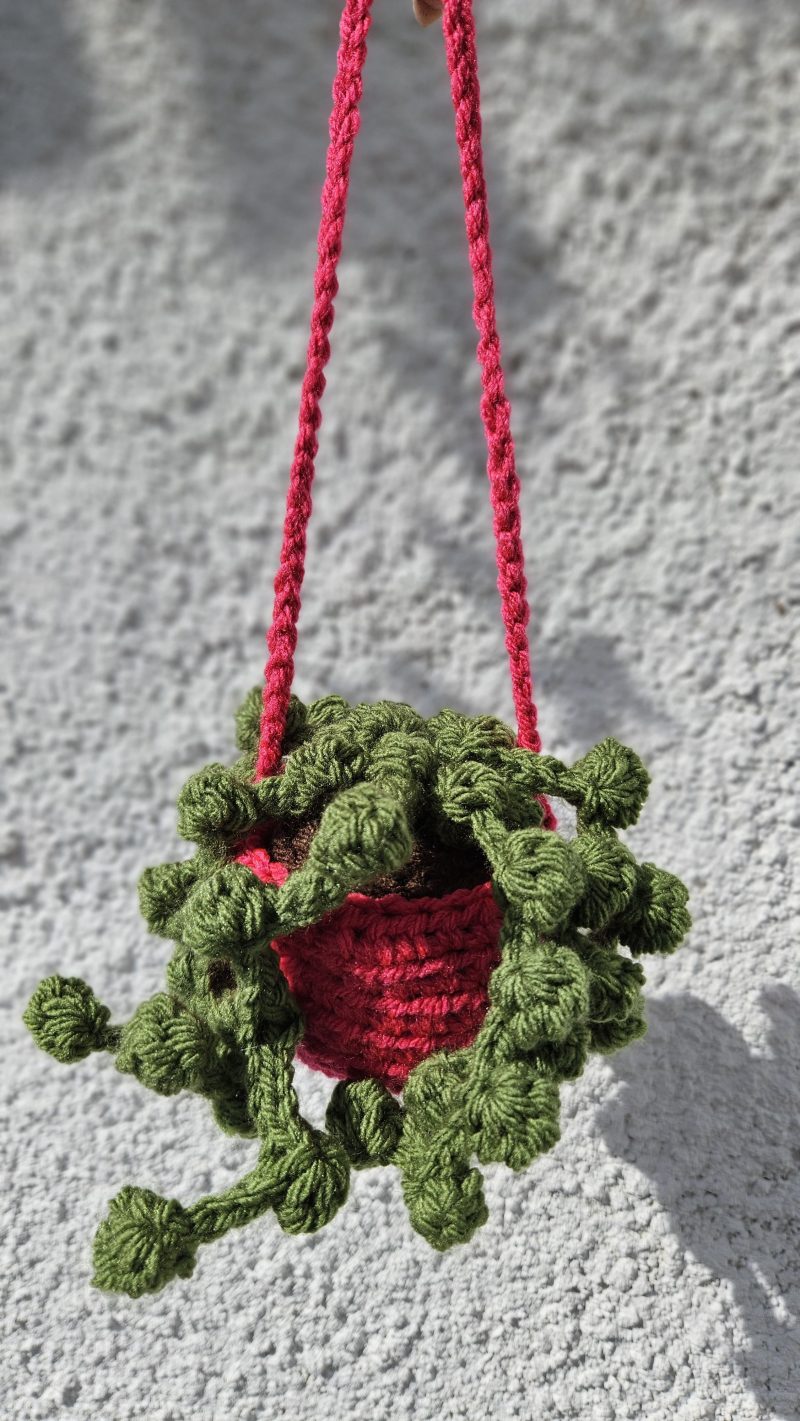 Hanging crochet plant