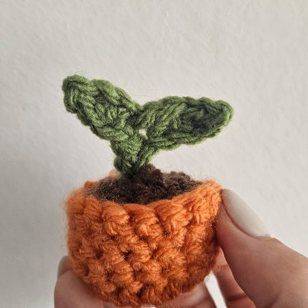 Mini crochet sprout