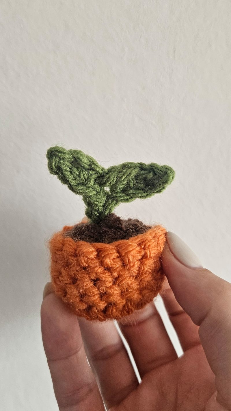 Mini crochet sprout