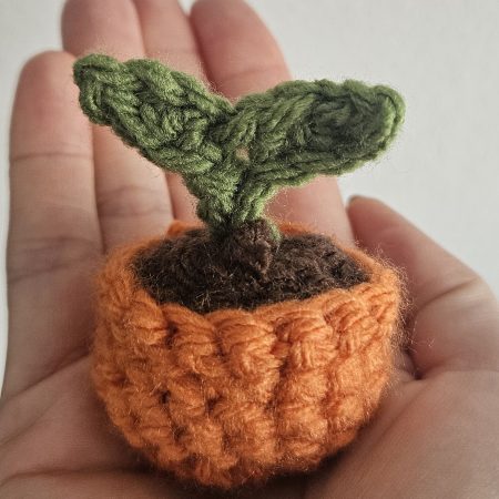 Mini crochet sprout