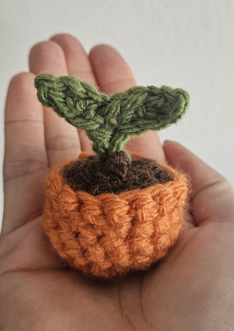 Mini crochet sprout