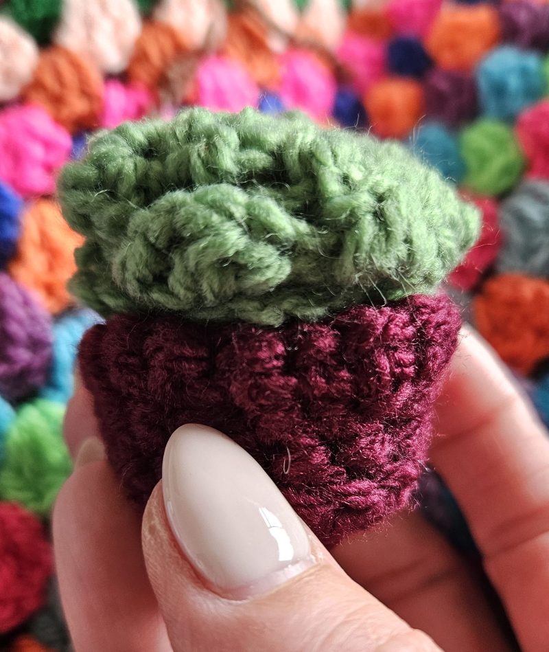 Crochet mini succulent