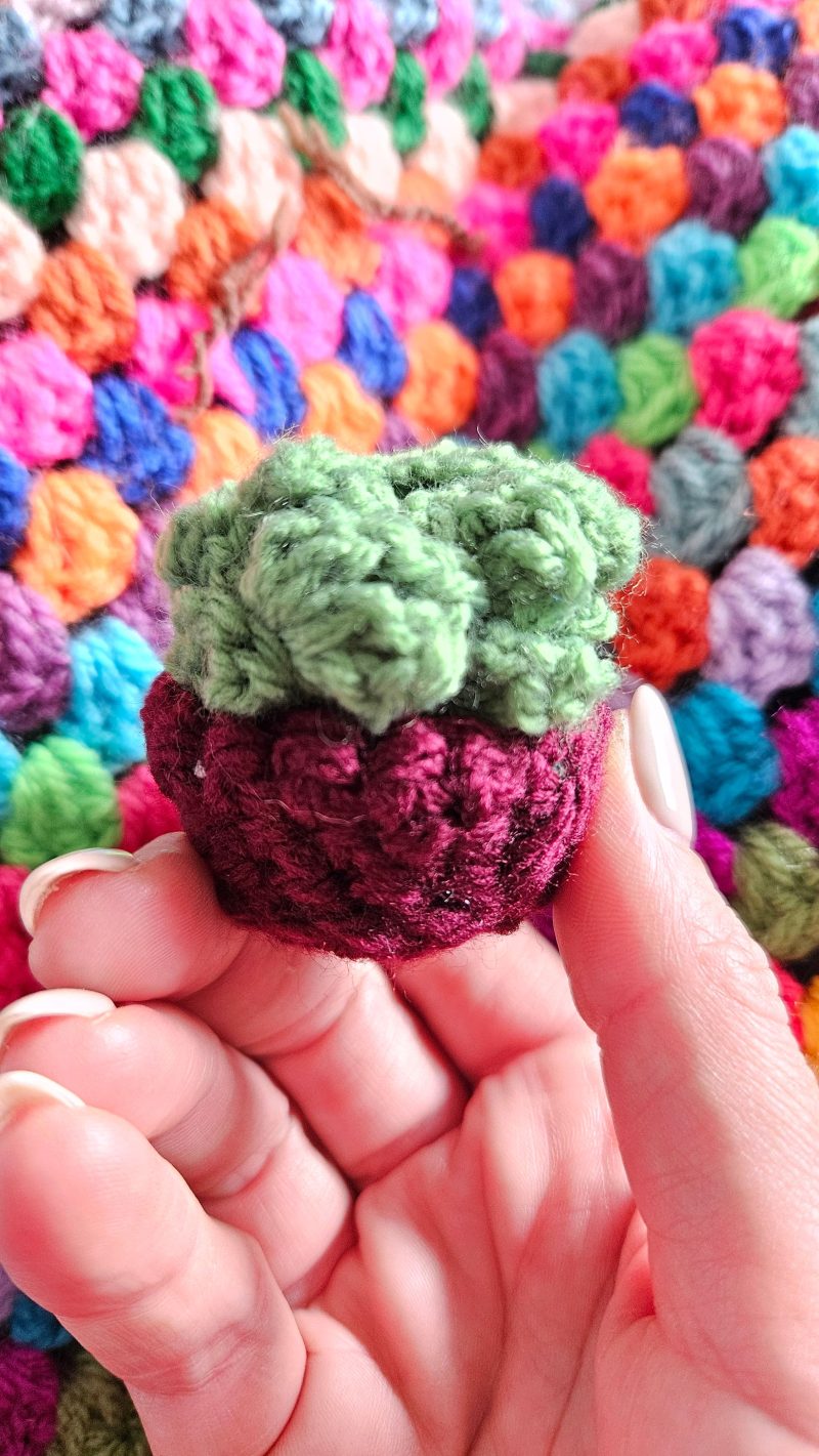Crochet mini succulent