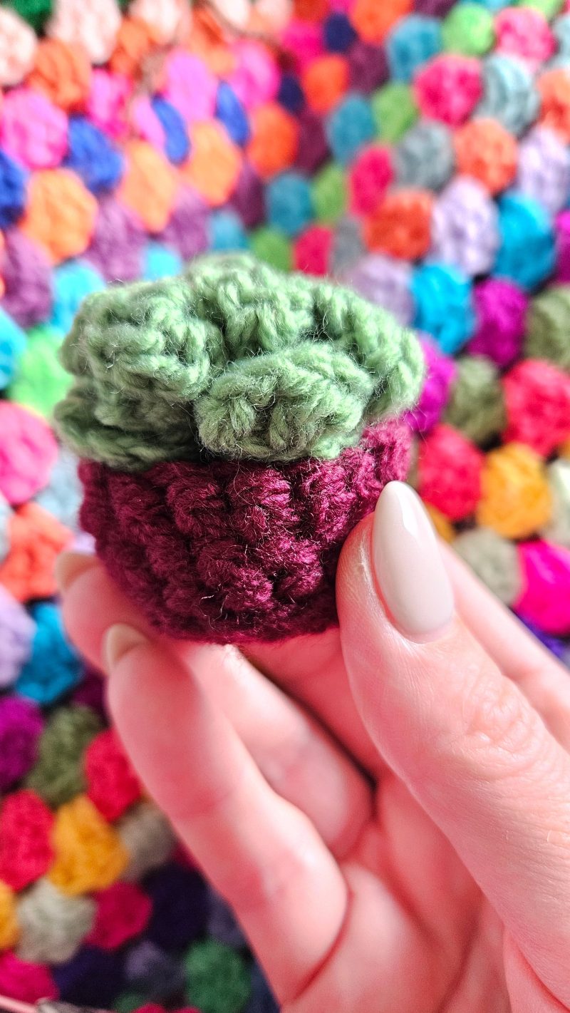 Crochet mini succulent