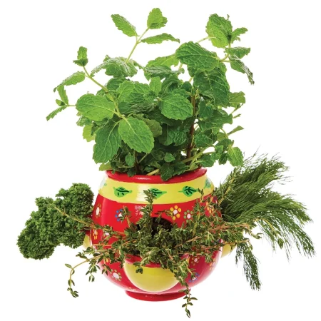 Ceramic painting – herb garden planter