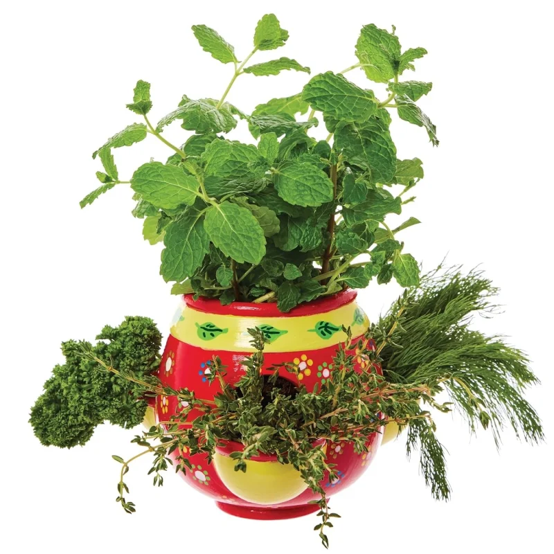 Ceramic painting – herb garden planter